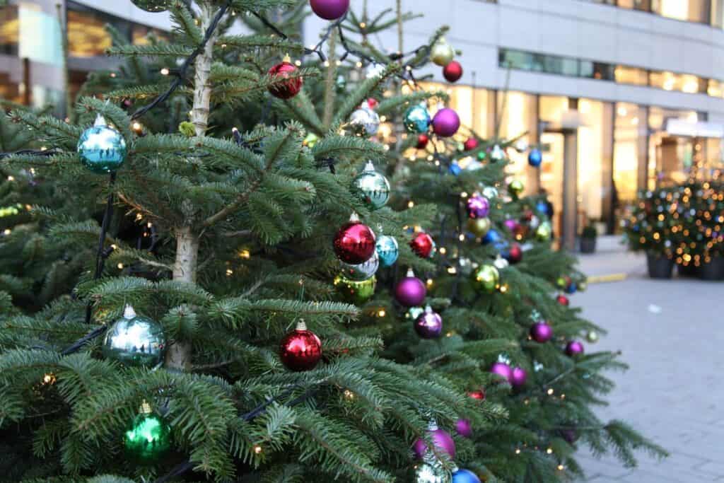 Julgranar utomhus i tysk stad